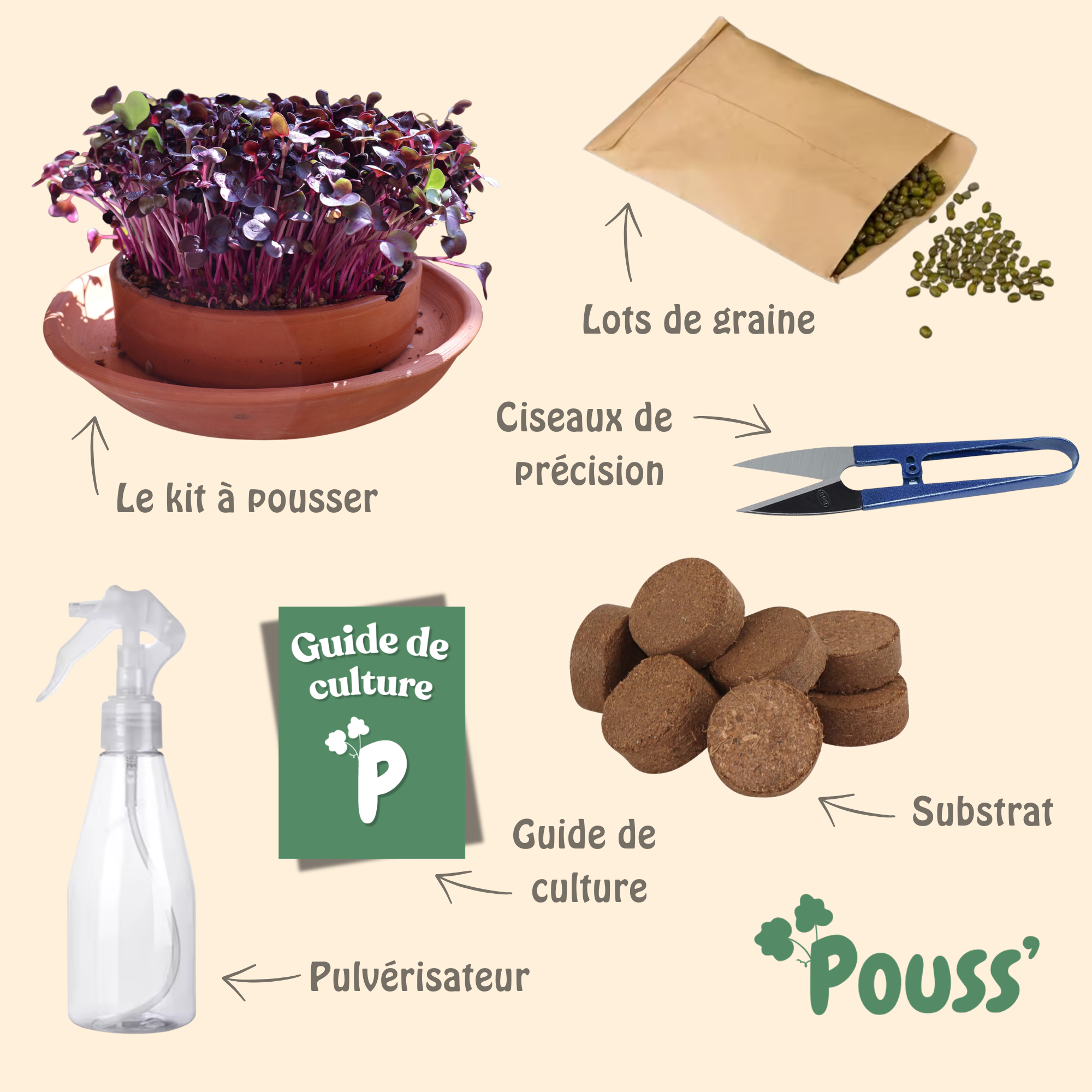 Kit à pousser