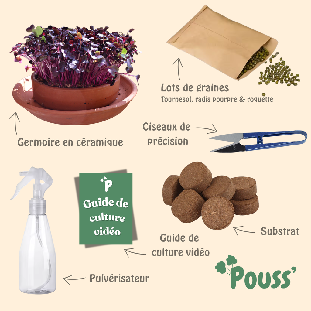 Kit de culture